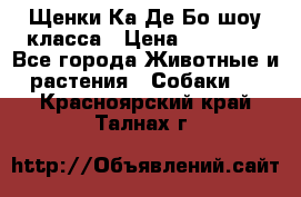 Щенки Ка Де Бо шоу класса › Цена ­ 60 000 - Все города Животные и растения » Собаки   . Красноярский край,Талнах г.